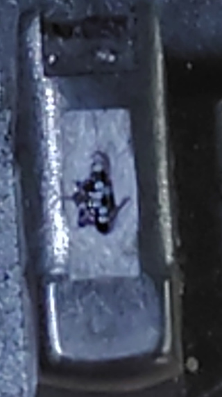 Okidata ML 92